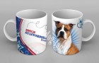 am_staffordshire_terrier copy